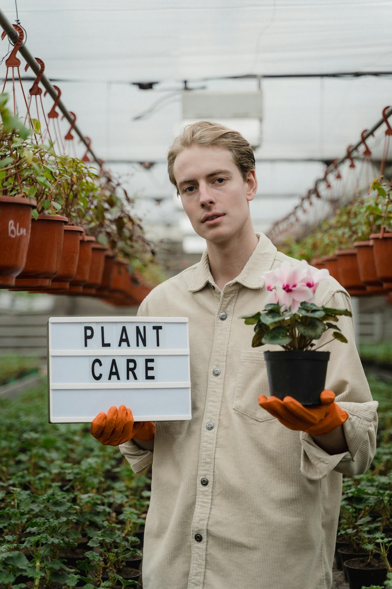 Portrait of a young man with a potted flower and plant care sign in a greenhouse.