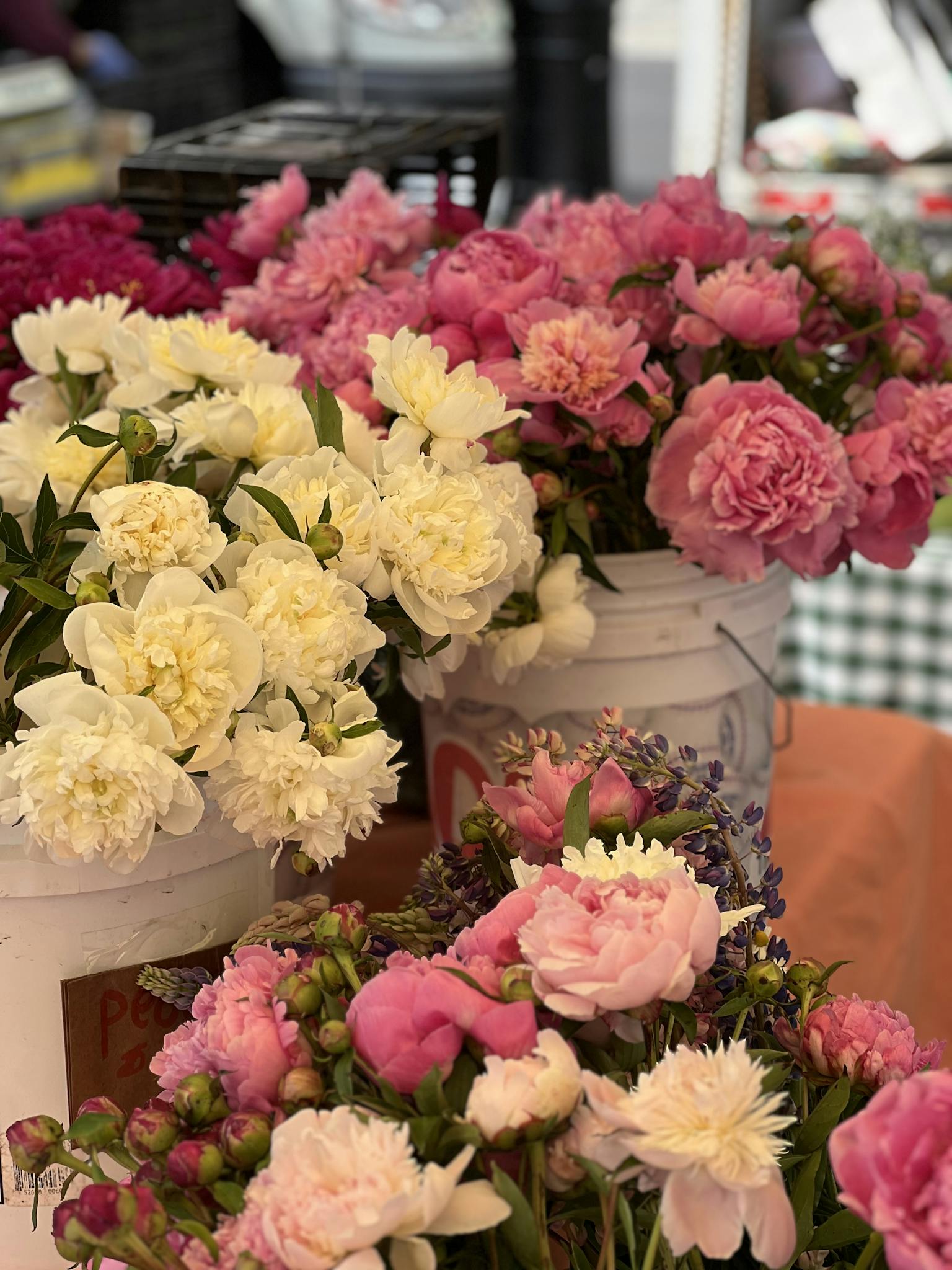 Vibrant bouquets of pink and white peonies displayed in market buckets, perfect for floral decoration.