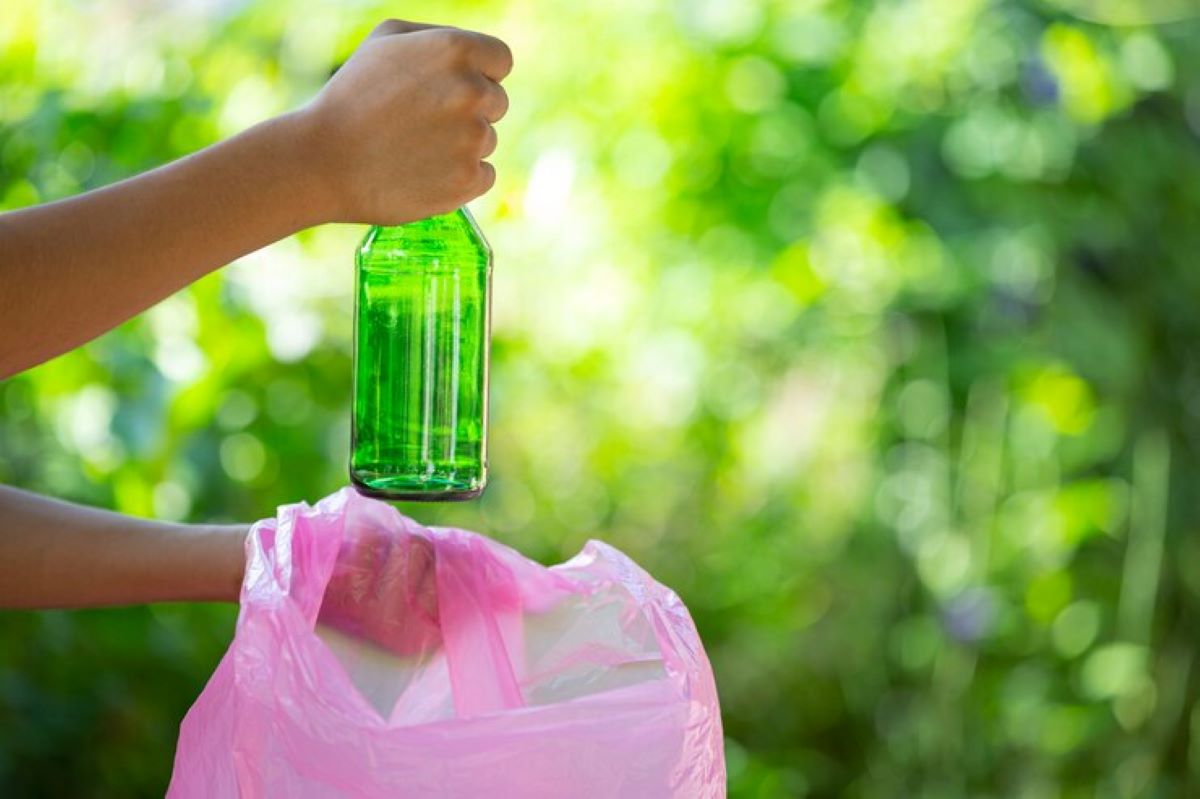 green waste removal sydney
