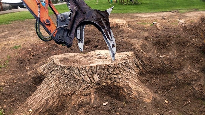 stump removal