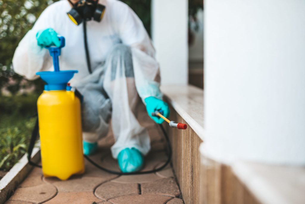Termite Specialist