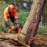 tree cutting services near me